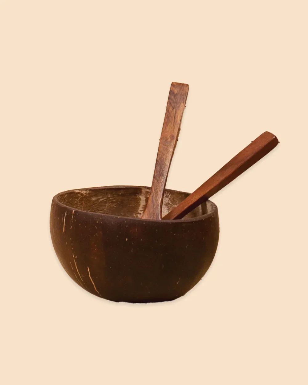 Coconut Shell Bowl - Image 2