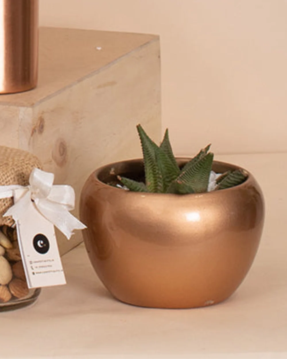 Copper Planter With Succulent Plant - Image 3