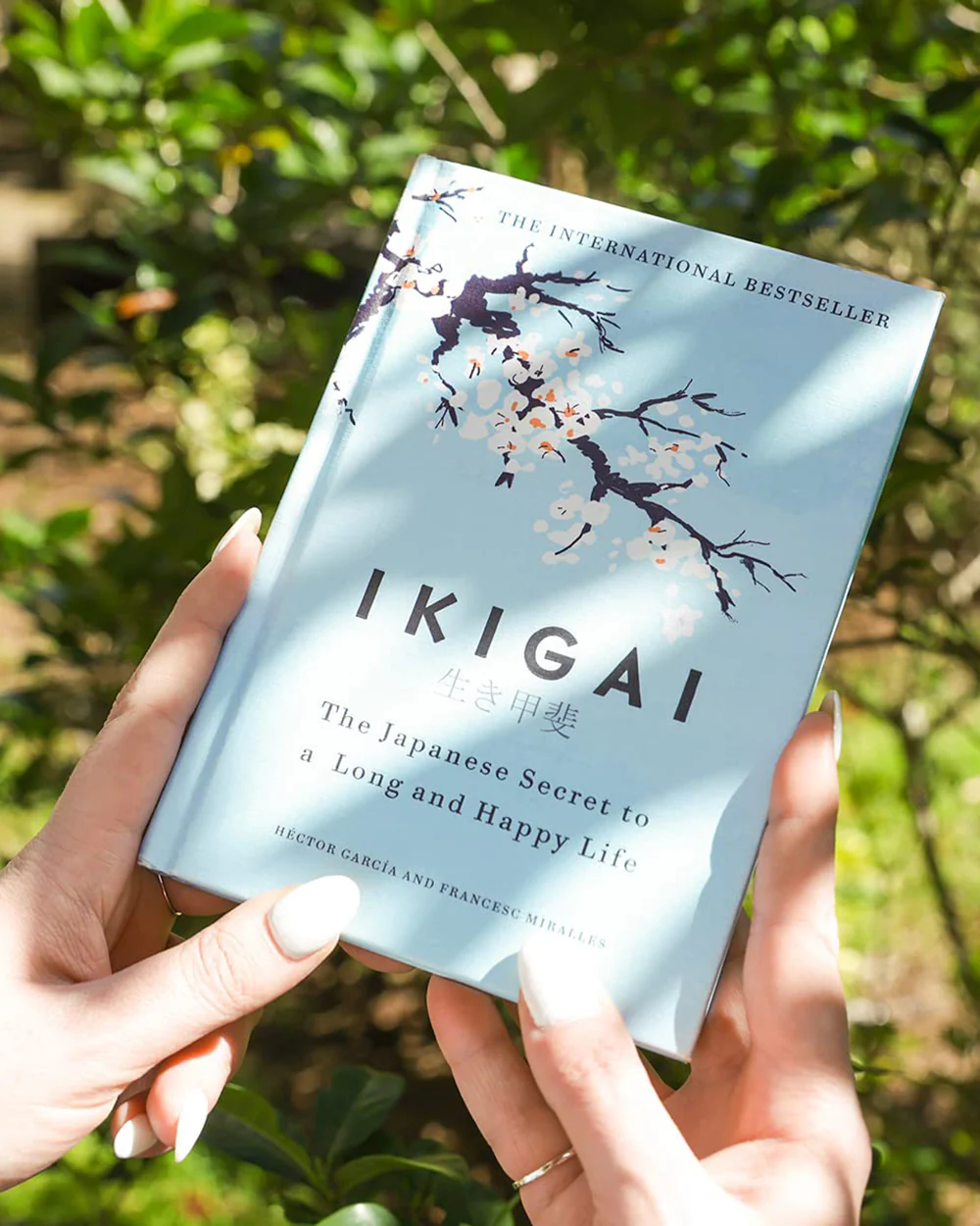 Ikigai Book