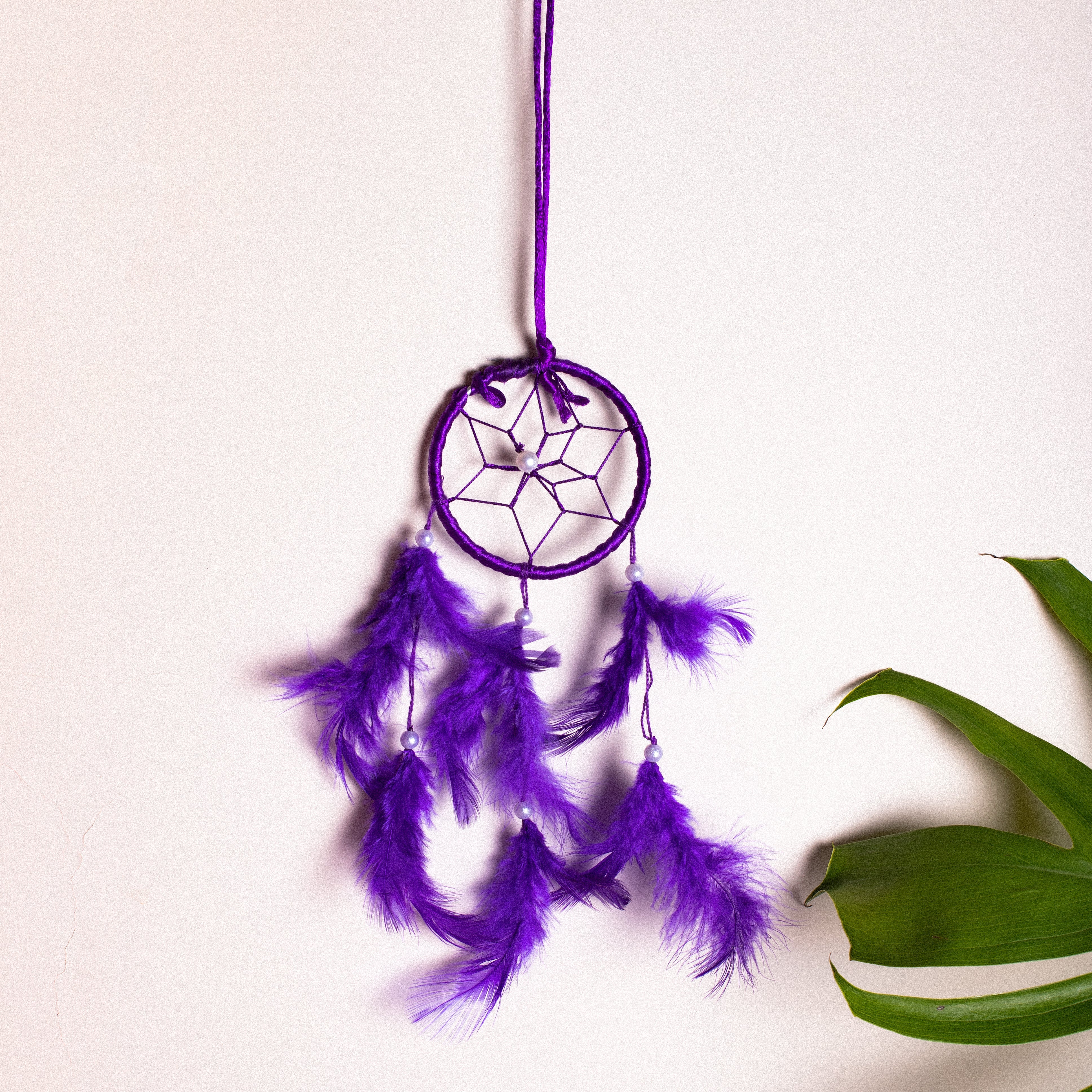Dream Catcher - Image 5